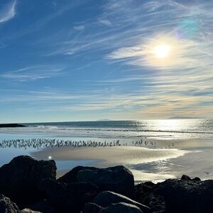 Meet your Posher, Toni